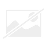 Stupsi biber findet ein - stupsi,